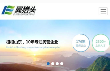 天翼猎头-威海网络公司案例